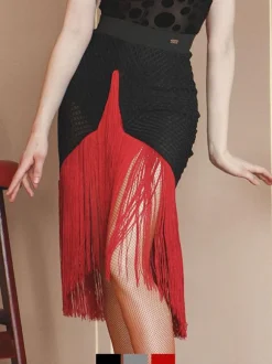 Costume De Danse Latine Jupe Argentée Femmes Sexy Frange Maille