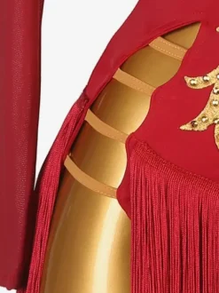 Costume De Danse Latine Robe Manches Longues Sexy En Lycra Et Élasthanne Pour Femme Bordeaux