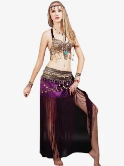 Costume de danse du ventre frange femmes vêtements de danse avec pièce de monnaie