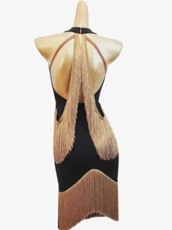 Costume De Danse Latine Femmes Léopard Robe Frange Sexy Pour Danseuse Latine