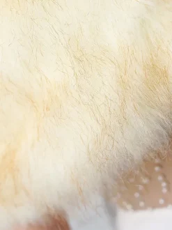Couverture de mariage en fausse fourrure hauts beiges couverture de mariée