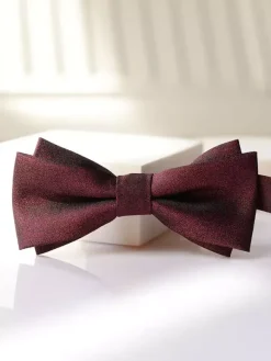 Cravate N艙ud Habillée Pour Homme Bordeaux Vintage Chic En Polyester Élégant