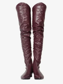 Cuissardes Bottes d'hiver pour femme à bout pointu et talon de chiot de couleur unie