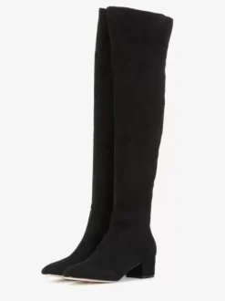 Cuissardes Femmes Bottes À Talons Épais Dessus En Micro-Daim