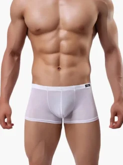 Culotte Sexy Nylon semi Sheer masculine