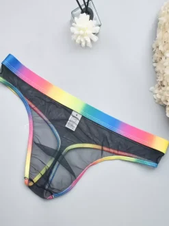 Culotte sexy pour homme Lingerie transparente bleue pour homme