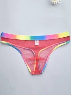 Culotte sexy pour homme Lingerie transparente bleue pour homme