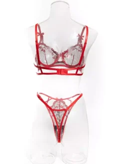 Ensemble 2 pièces de lingerie transparente rouge à imprimé léopard avec soutien-gorge et culotte