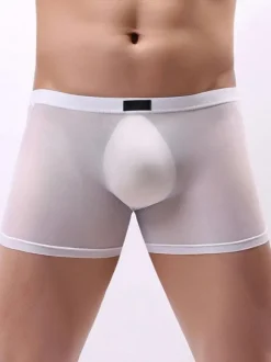 Lingerie Homme Sexy Culotte Boxer Tulle Hommes