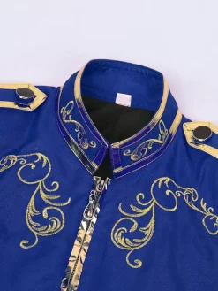 Manteau rétro steampunk violet pour homme col montant broderie fermeture éclair sur le devant manches longues style vintage