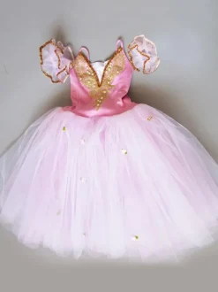 Robe Ballet Tutu Filles Ballerines brodées Costume de Danse Ballet Rose Déguisements Halloween