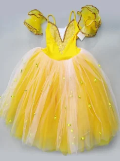 Robe Ballet Tutu Filles Ballerines brodées Costume de Danse Ballet Rose Déguisements Halloween