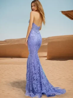 Robe de bal sirène col en c艙ur dentelle balayage dentelle robes de dîner formelles