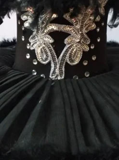 Robe de Ballet noire pour fille ballerine plumes volants dentelle Polyester vêtements de danse