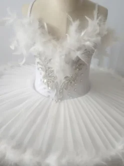 Robe de Ballet noire pour fille ballerine plumes volants dentelle Polyester vêtements de danse