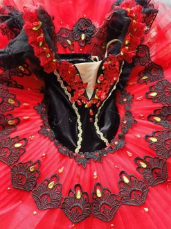 Robe de Ballet rouge fille adulte ballerine strass fleurs dentelle Polyester robe ensemble vêtements de Performance
