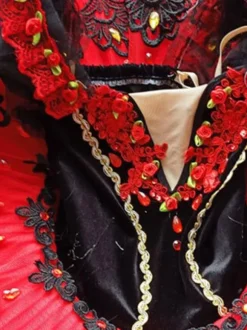 Robe de Ballet rouge fille adulte ballerine strass fleurs dentelle Polyester robe ensemble vêtements de Performance