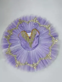 Robe de ballet violette pour fille ornée de dentelle et de sequins idéale pour les spectacles.