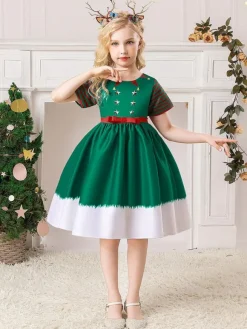 Robe de fête pour Noël Green Polyester Fibre à imprimé floral Costumes de vacances de Noël