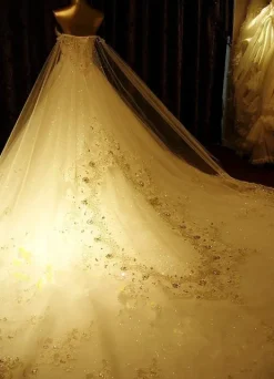 Robe de mariée princesse ivoire bustier paillete à traîne grande Robe de mariée luxe Robe de mariage église