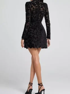 Robe en dentelle à col haut et manches longues pour fête d'anniversaire mini robe de printemps pour femmes 2026