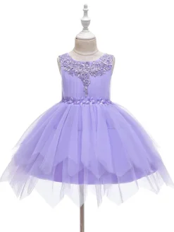 Robe fille de fleur champagne en tulle col rond décoré des perles robe fille cérémonie