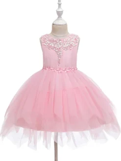 Robe fille de fleur champagne en tulle col rond décoré des perles robe fille cérémonie