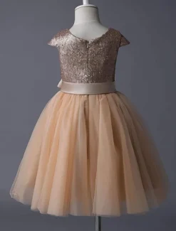 Robe fille de fleur pailleté jupe en tulle zip sur dos Robe d'enfant