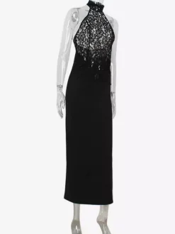Robe longue dos nu en dentelle transparente patchwork pour femme - Robe sirène moulante noire sexy - Robe de soirée d'été formelle 2026