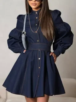 Robe patineuse en jean à manches bouffantes et boutonnée mini-robe trapèze pour femme 2026