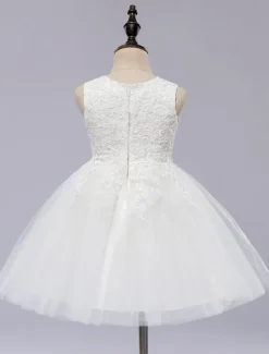 Robe cérémonie fille col rond brodée en tulle robe de fille de fleur