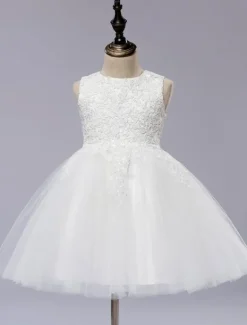 Robe cérémonie fille col rond brodée en tulle robe de fille de fleur