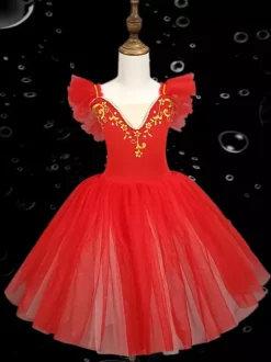 Robe de ballerine rose brodée en polyester pour fille tenue de spectacle