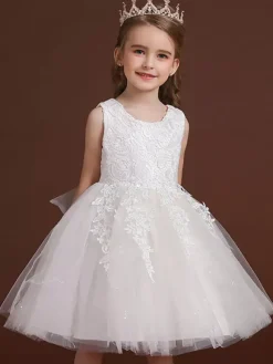 Robe de fille de fleur col rond en dentelle jupe en tulle noeud sur dos à zip robe cortège enfant