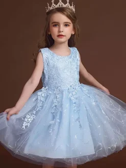 Robe de fille de fleur col rond en dentelle jupe en tulle noeud sur dos à zip robe cortège enfant