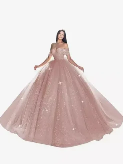 Robe de mariée princesse en dentelle à paillete bustier hors des épaules au sol