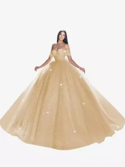 Robe de mariée princesse en dentelle à paillete bustier hors des épaules au sol