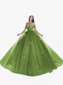 Robe de mariée princesse en dentelle à paillete bustier hors des épaules au sol