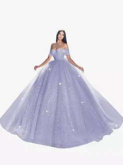 Robe de mariée princesse en dentelle à paillete bustier hors des épaules au sol