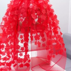 Robe de soirée en organza à col en V et longueur au sol avec appliques
