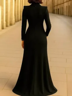 Robe de soirée pour la mère de la mariée robe de bal plissée à manches longues et col en V robe d'invitée pour un mariage