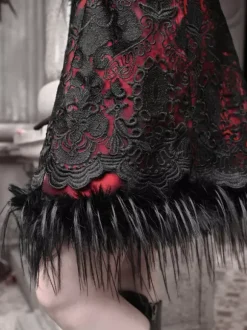 Robe Gothique Lolita Plumes Dentelle Noire JSK