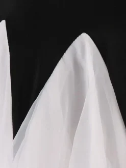 Robes de costume de danse de salon Vêtements de danse noire en organza perlée de femmes noires Déguisements Halloween