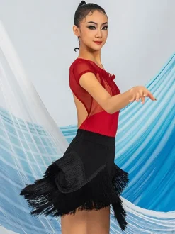 Robes de danse latine marron café jupe en Polyester pour femmes haut transparent élégant à franges Costume de danse latine