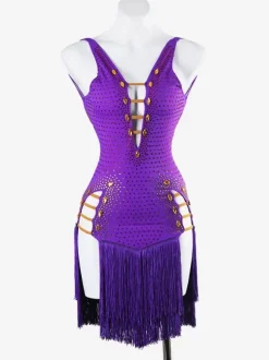 Robes de danse latine violettes pour femmes robe en lycra et spandex vêtements de danse latine à franges sexy