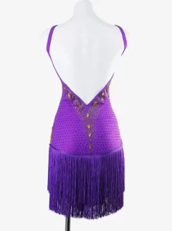 Robes de danse latine violettes pour femmes robe en lycra et spandex vêtements de danse latine à franges sexy