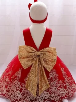 Robes de fille de fleur blanche robes d'occasion spéciale dentelle bleu royal sans manches col bijou robes de fille de fleur