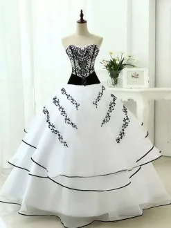 Robes de mariée noires Robe de princesse silhouette sans manches en dentelle organza à traîne Robe de mariage