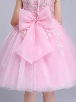 Robes cortège enfant blanche en dentelles col rond brodé robe de fille de fleur