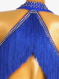 Robes De Danse Latine Bleu Royal Femmes Robe À Franges Costume De Danse